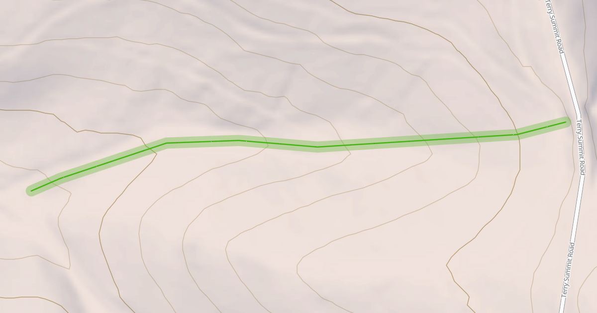 Map preview of Rodeo Drive