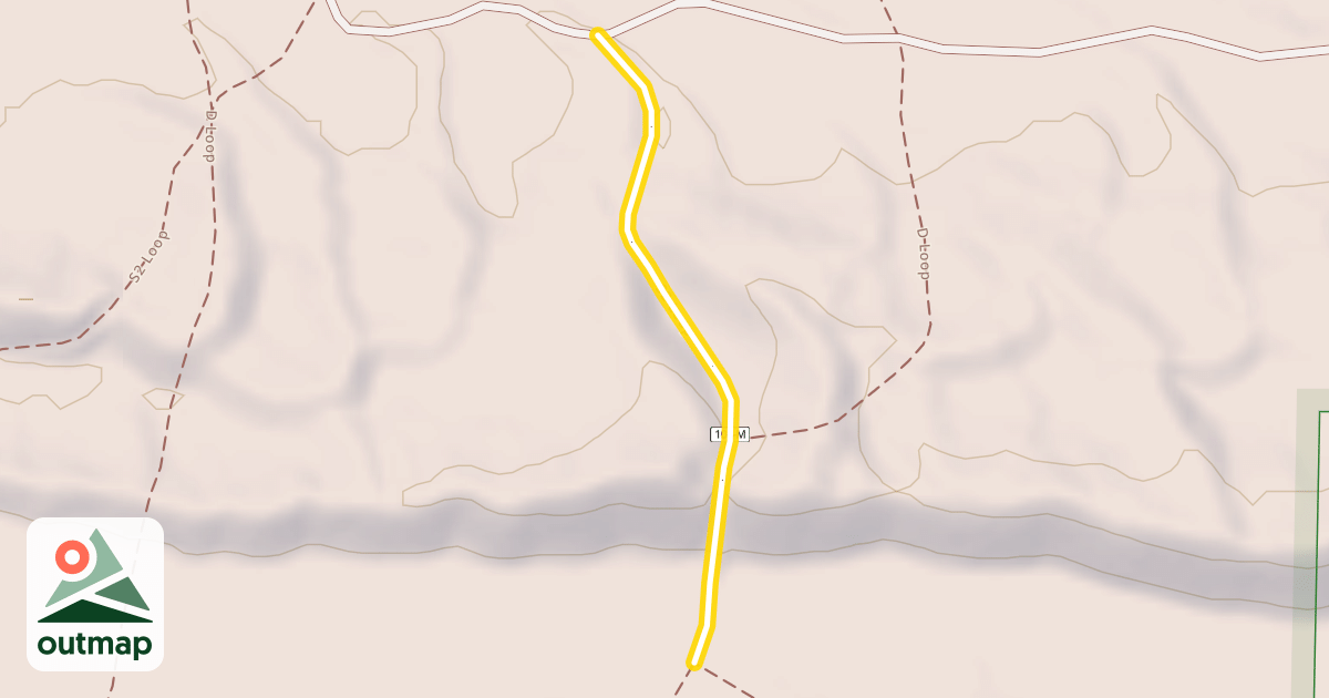 Map of S2 Loop