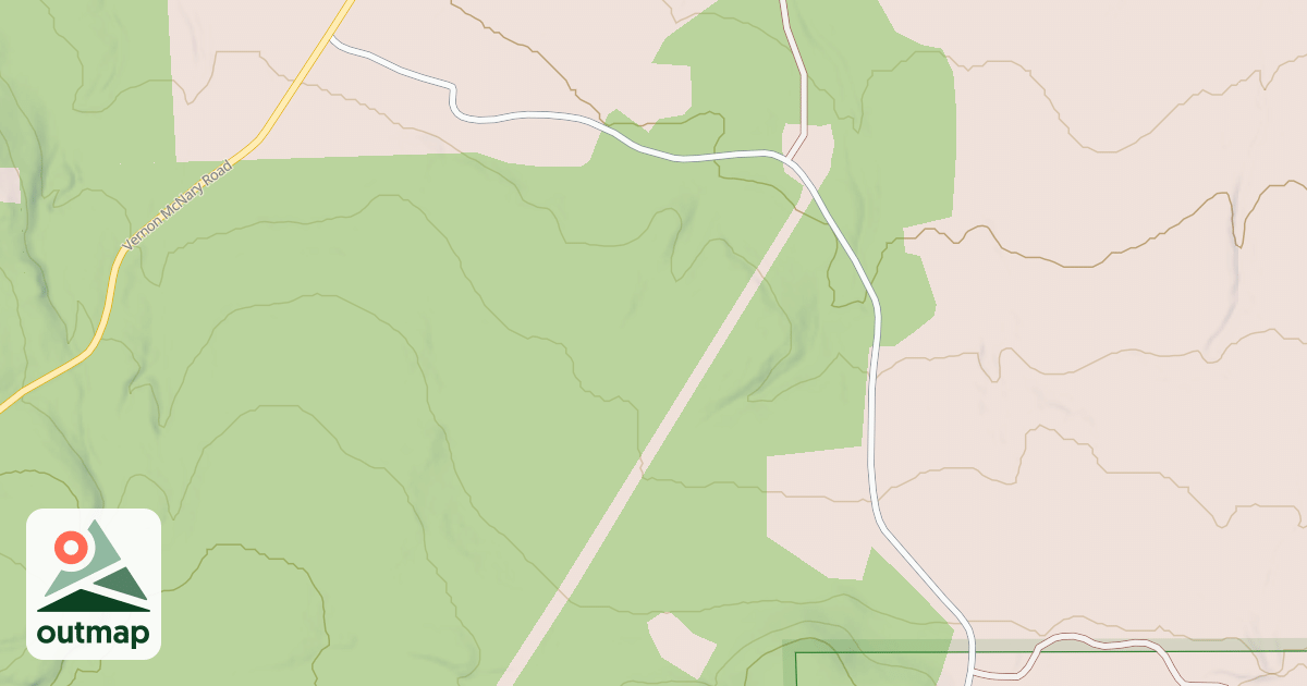 Map of USFS National Forest System Roads {43C30364-857F-4291-BB2D-0A8C8339FC62}