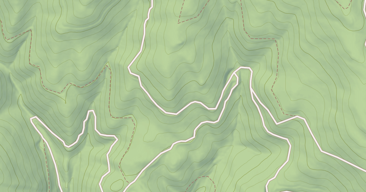 Map preview of USFS Motor Vehicle Use Map Trails 12061