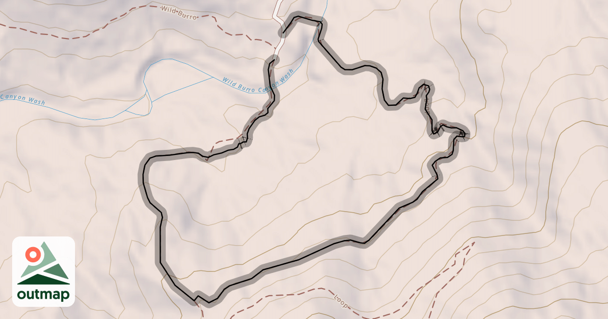 Map of Loop