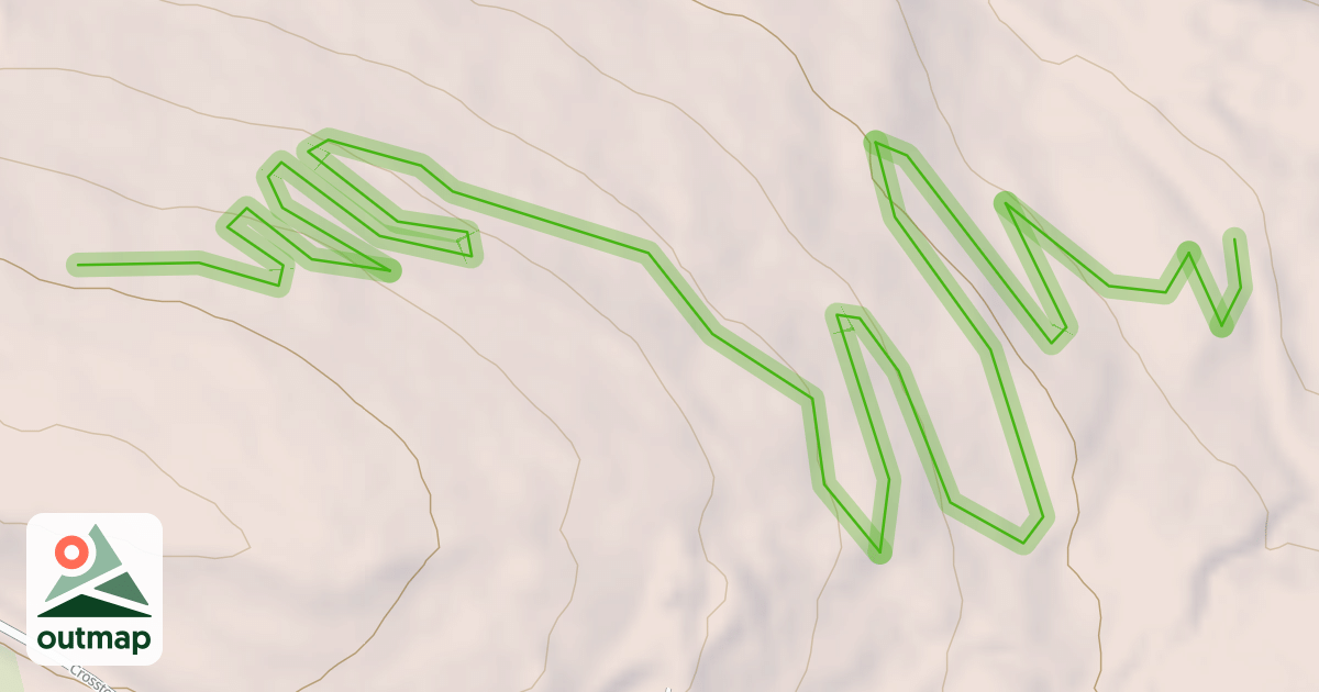 Map of Play Nice