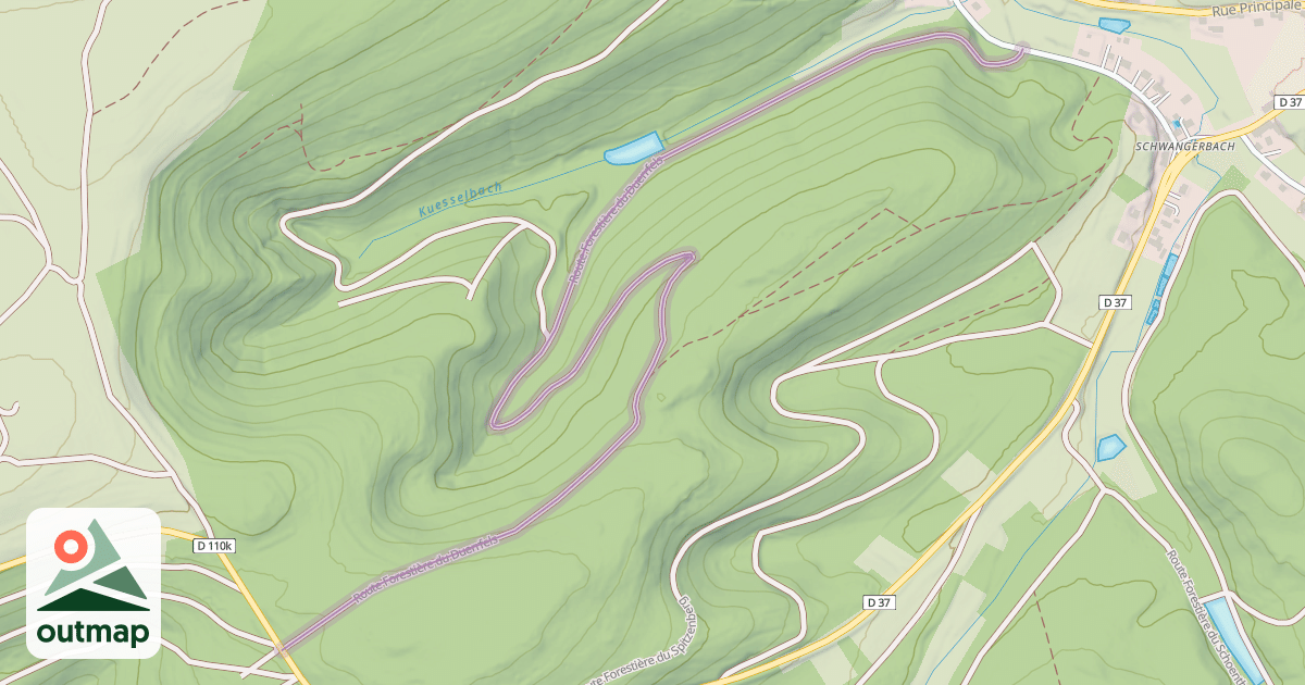Map of Route Forestière du Duerrfels