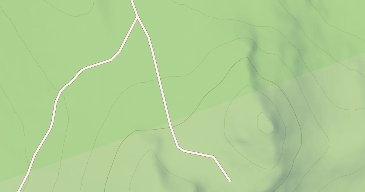 Map preview of USFS Motor Vehicle Use Map Roads {5508A247-A87E-4E1C-9357-50BA32AB521D}
