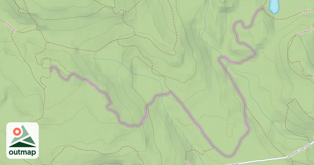 Map of Cheshire