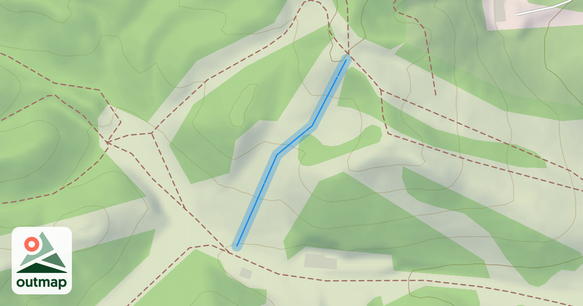 Map of Birch