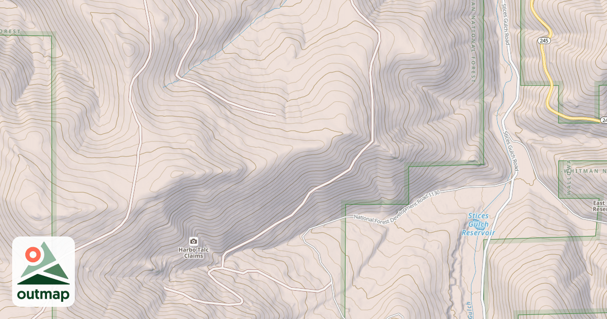 Map of USFS National Forest System Roads {5B74FBC0-F1B1-48CC-B8B4-9ABE09F76205}