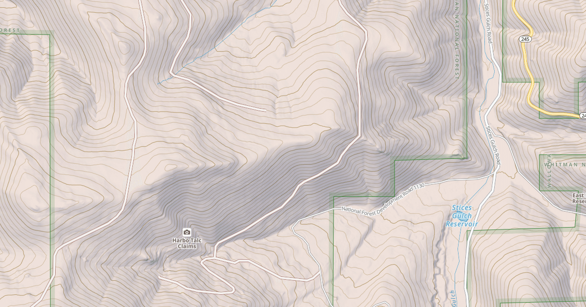 Map preview of USFS National Forest System Roads {5B74FBC0-F1B1-48CC-B8B4-9ABE09F76205}