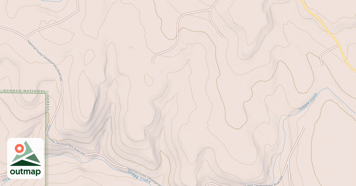 Map of USFS National Forest System Roads {CC193809-0B10-411E-98AE-6AF5B469DDCD}