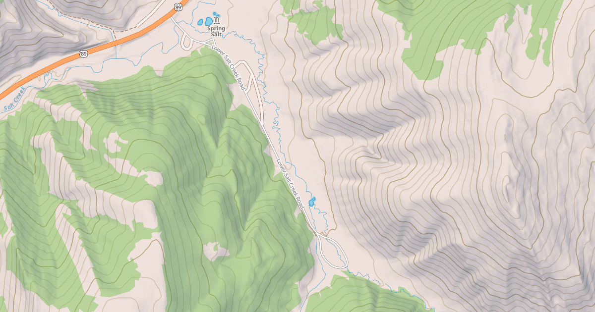 Map preview of LOWER SALT CREEK