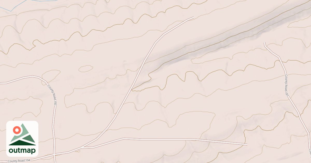 Map of SEED TREE