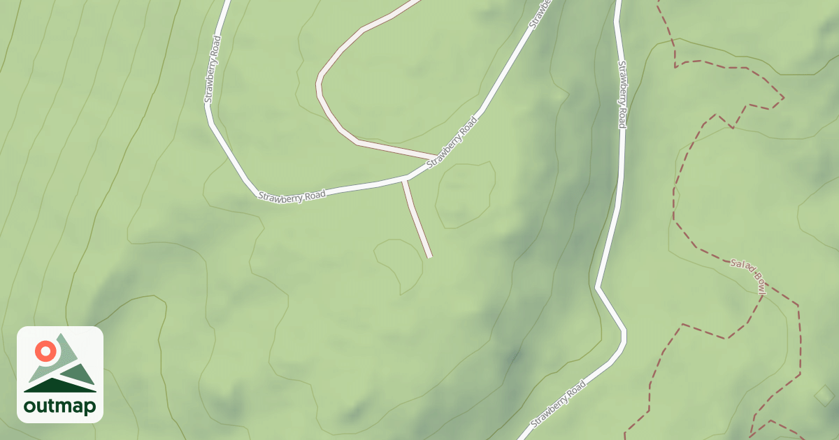 Map of BLM National GTLF Public Motorized Roads 1c32802e-5f17-4f8f-9a81-6ff7aa223ff4