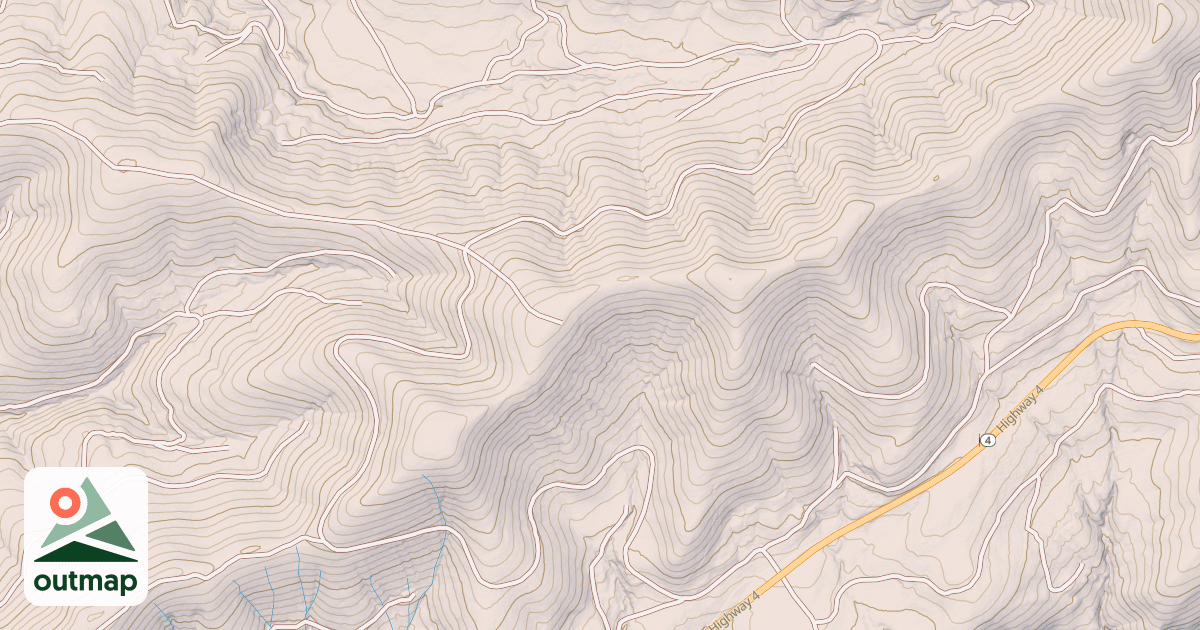 Map of USFS National Forest System Roads {BCEAD4F9-8632-4A43-B2D7-DBB7C26374C7}