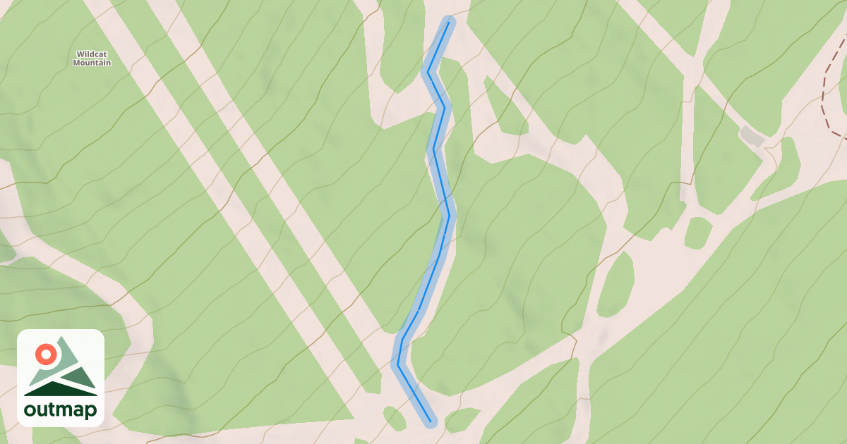 Map of Lynx-Connection