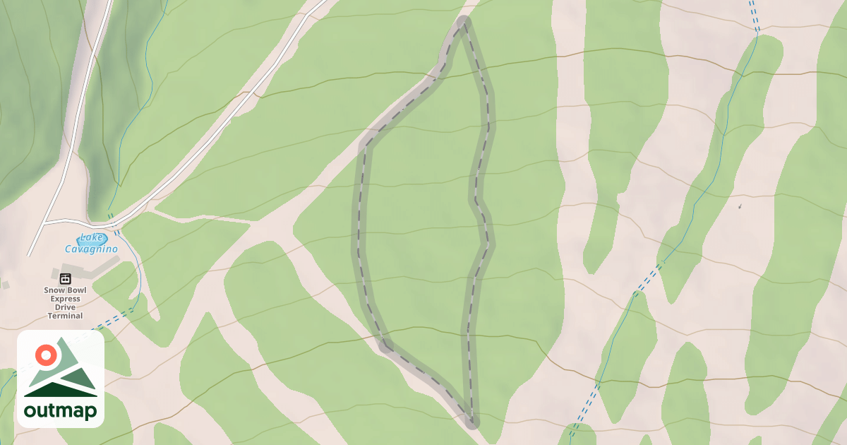 Map of Emerald Forest