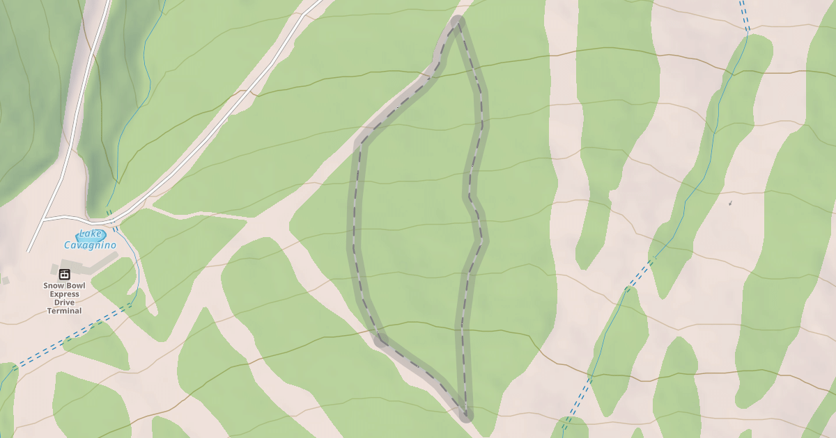 Map preview of Emerald Forest