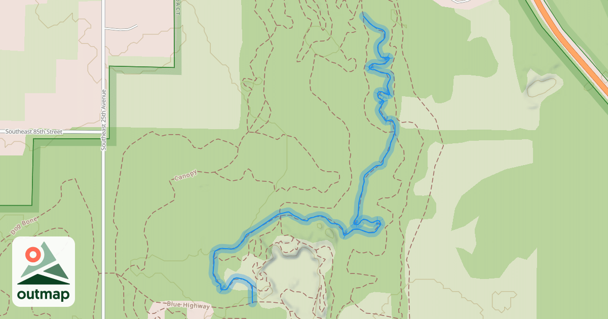 Map of Cow Bone