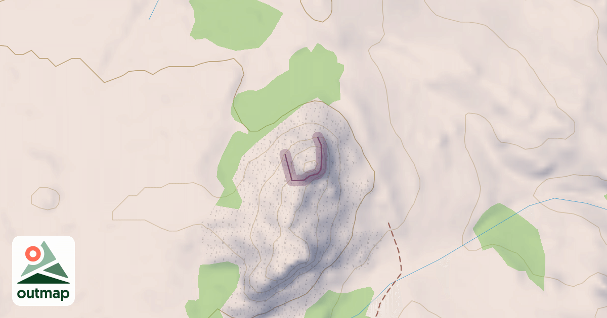 Map of Rat Brain: Fantasia Wall