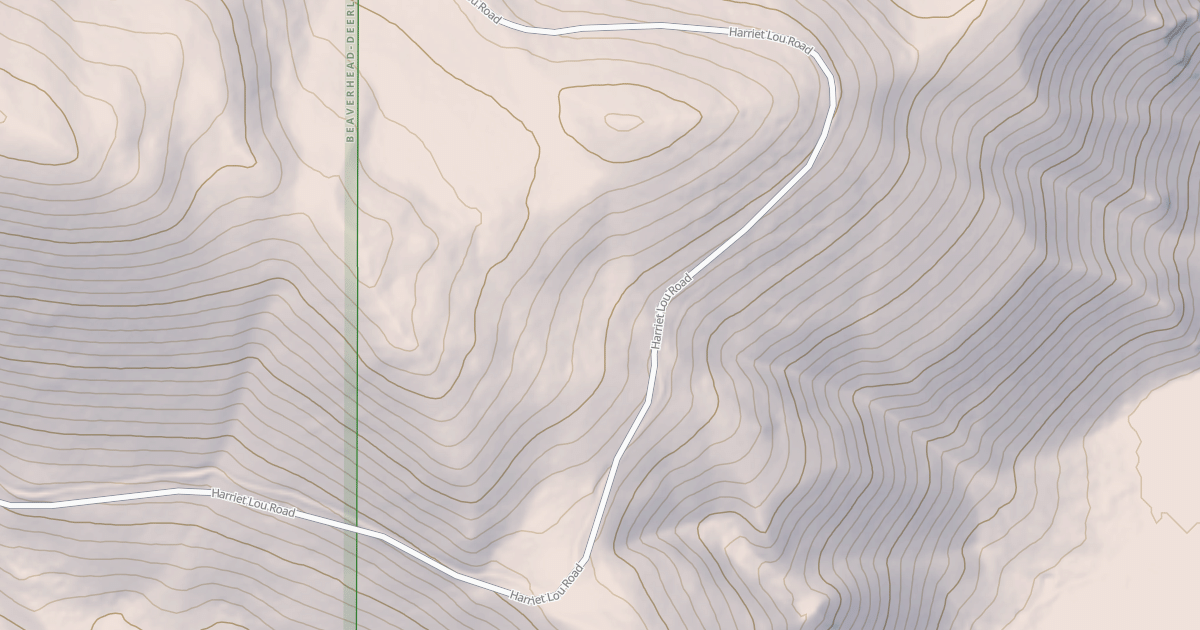 Map preview of BLM National GTLF Public Motorized Roads 7cf81eec-4999-44db-a5df-e30c604659c2
