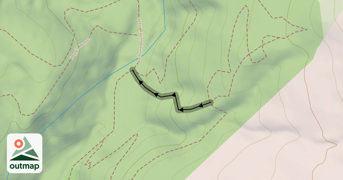 Map of Gonzo