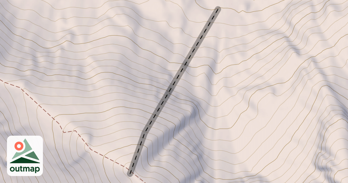 Map of Dihedral Face