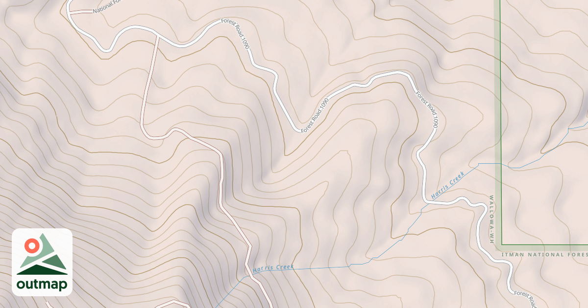 Map of USFS National Forest System Roads {1C82D704-A744-4D28-AC4E-FEAAD867FB3D}