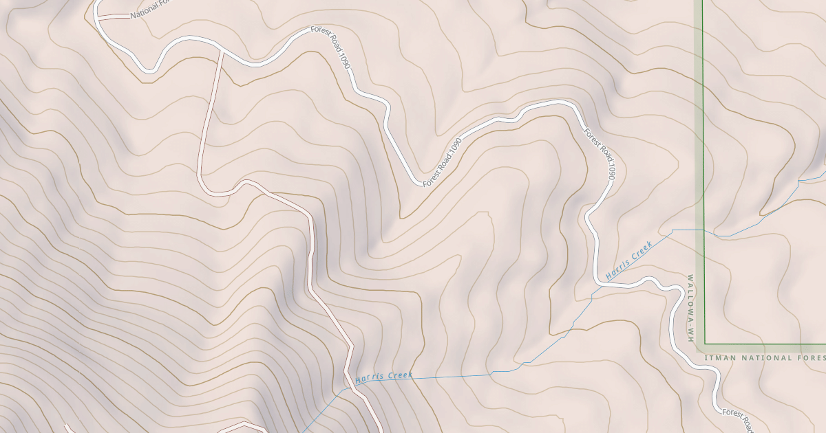 Map preview of USFS National Forest System Roads {1C82D704-A744-4D28-AC4E-FEAAD867FB3D}
