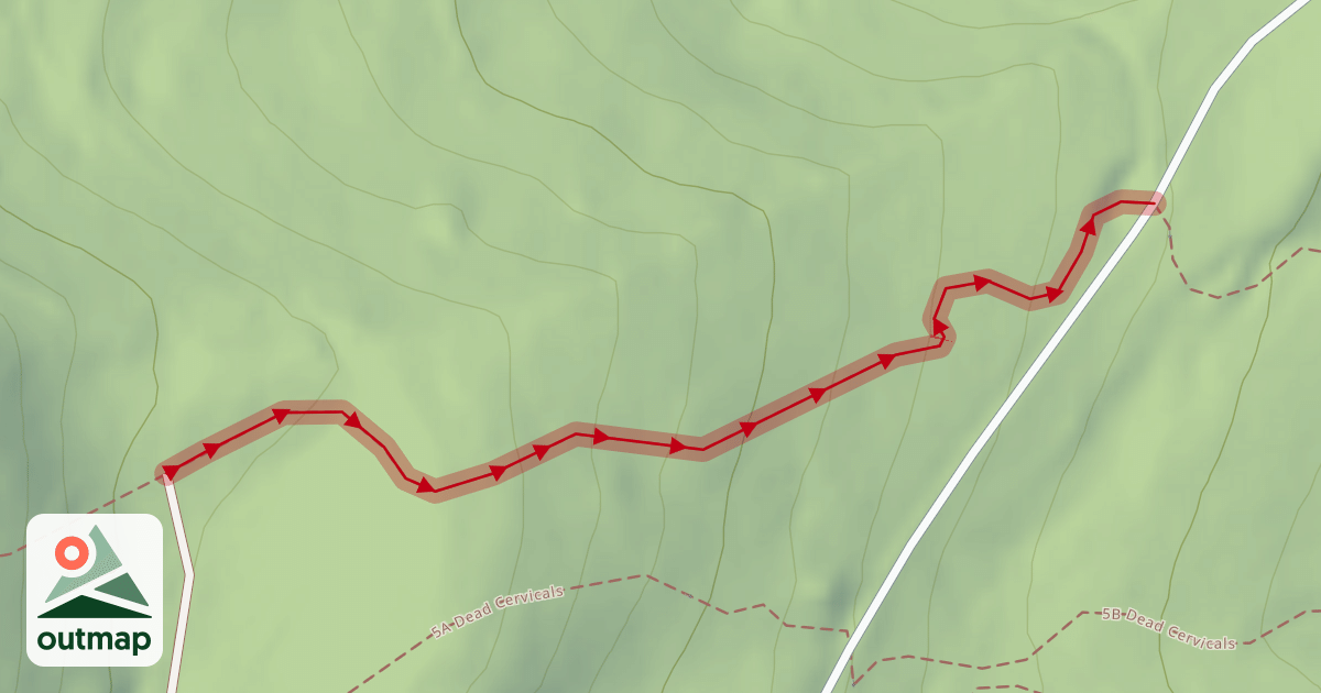 Map of 4A No Shape