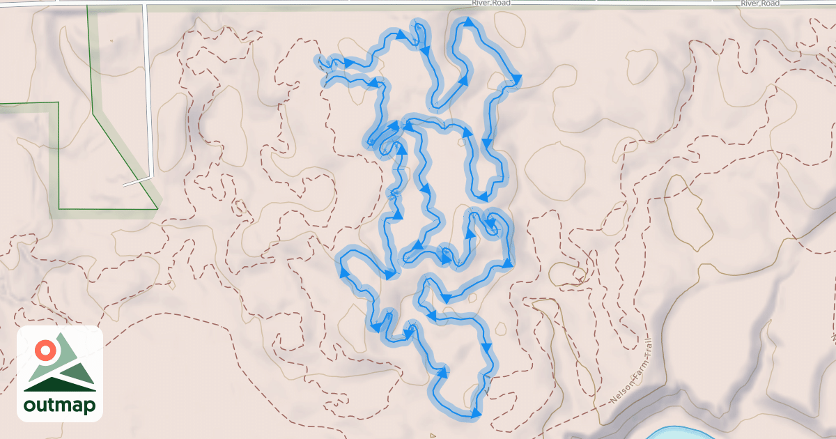 Map of Rubber Chicken
