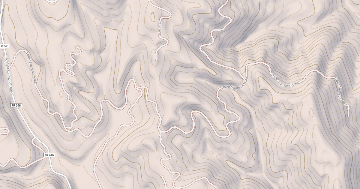 Map preview of LOWER SWANSON