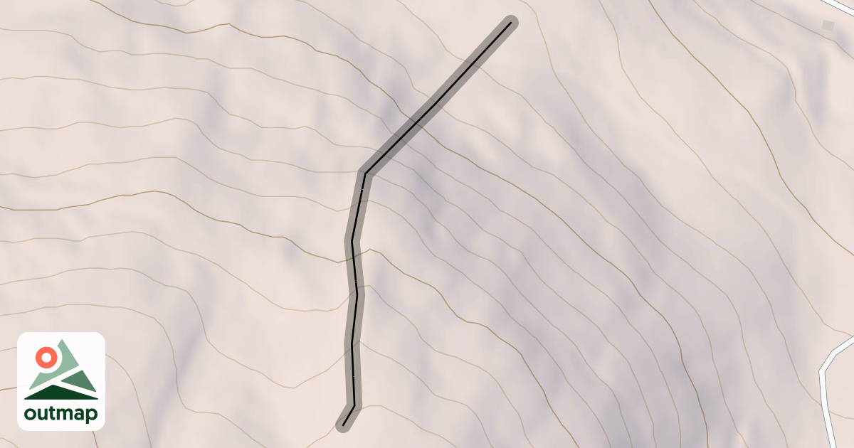 Map of W. Wishbone Alley
