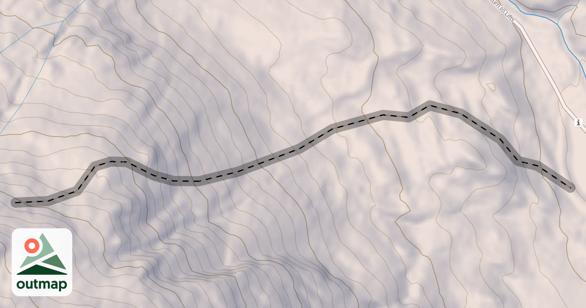Map of Gun Barrel Trees
