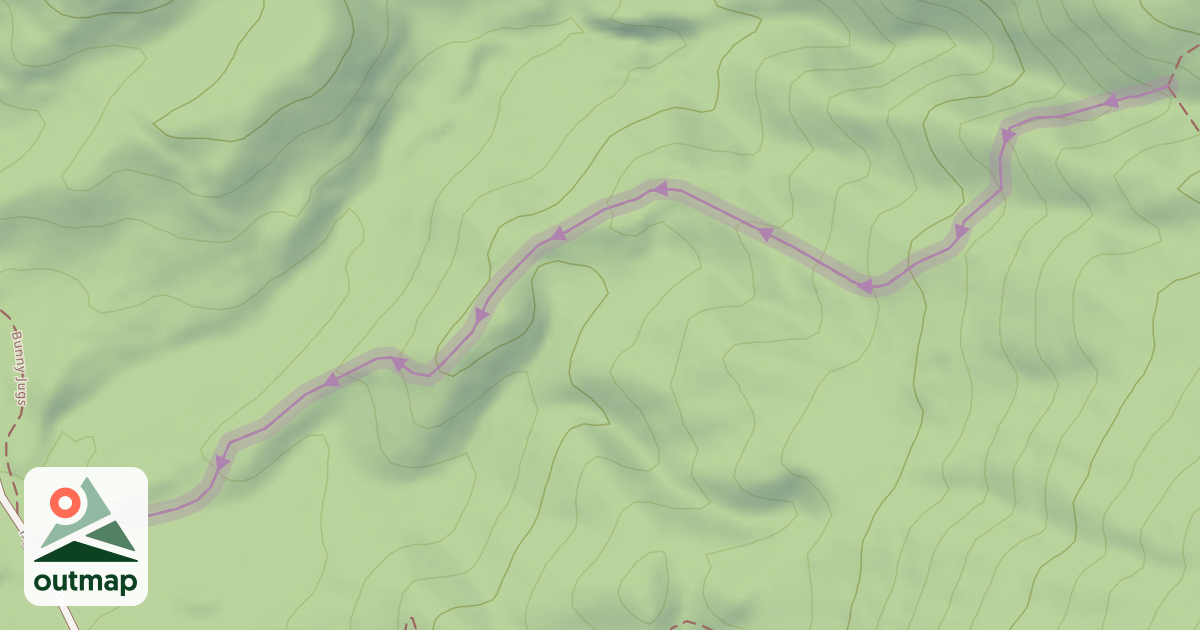 Map of Taniwha