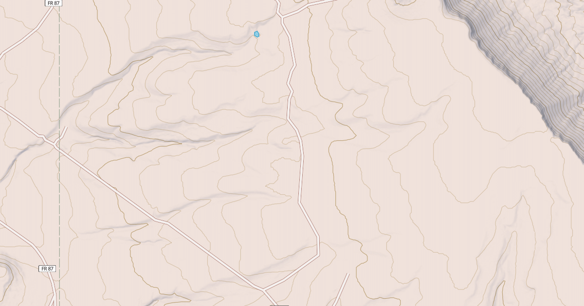 Map preview of USFS National Forest System Roads {F4A82B83-65AB-4289-A08F-E58B7B6A1C4B}
