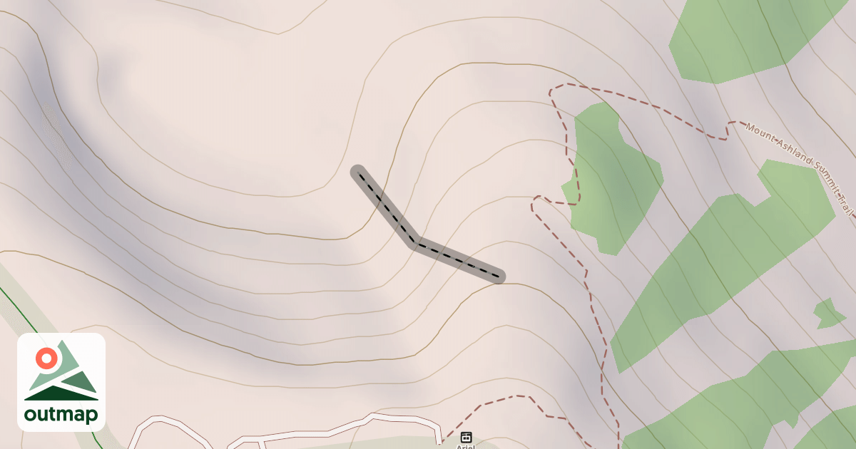 Map of Wong's