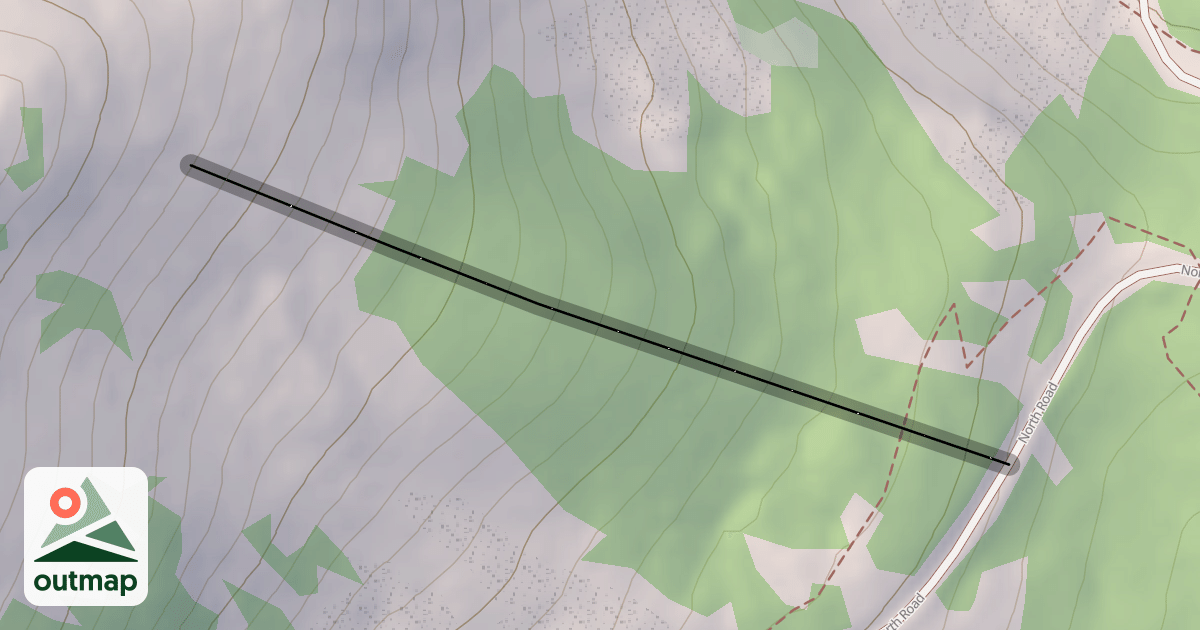 Map of St. Alphonse Trees