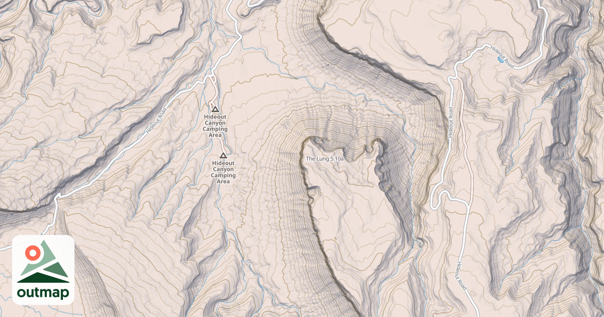 Map of The Lung