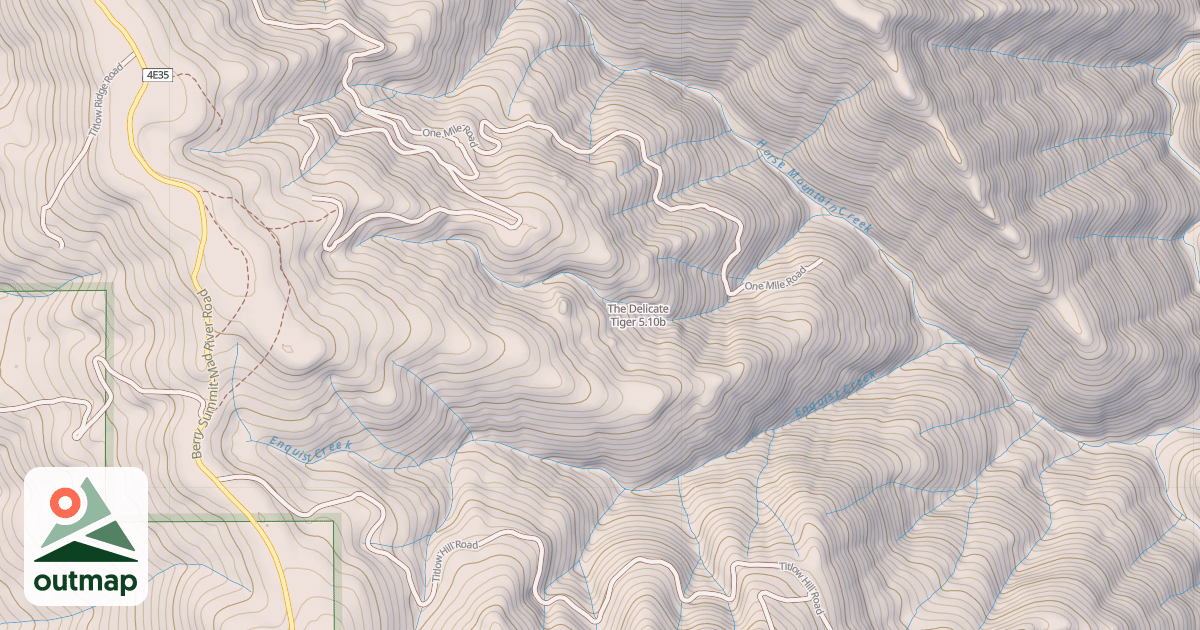 Map of The Delicate Tiger