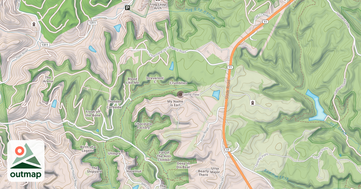 Map of Swine Flew