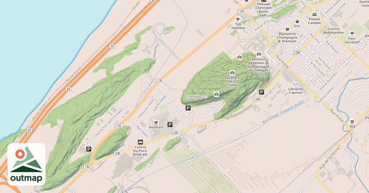 Map of Transition