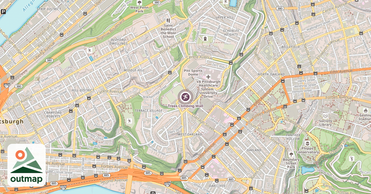 Map of Trees Climbing Wall