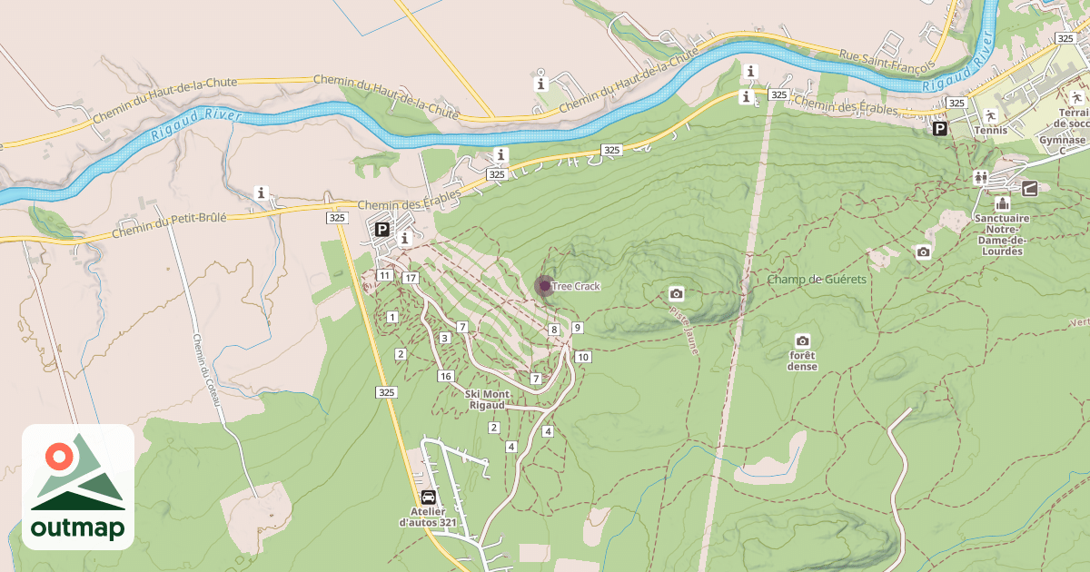 Map of Tree Crack