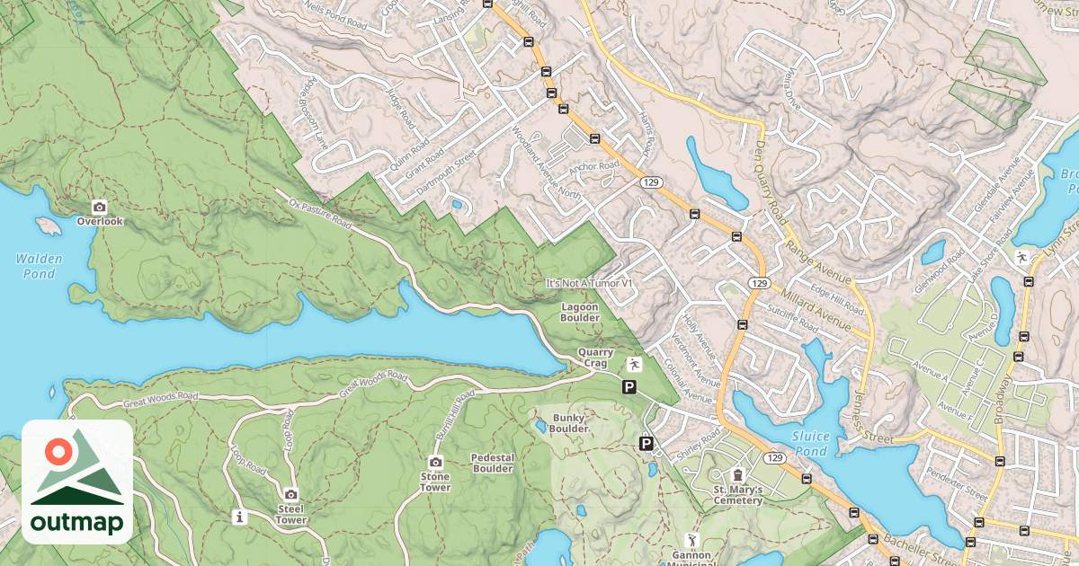 Map of It's Not A Tumor