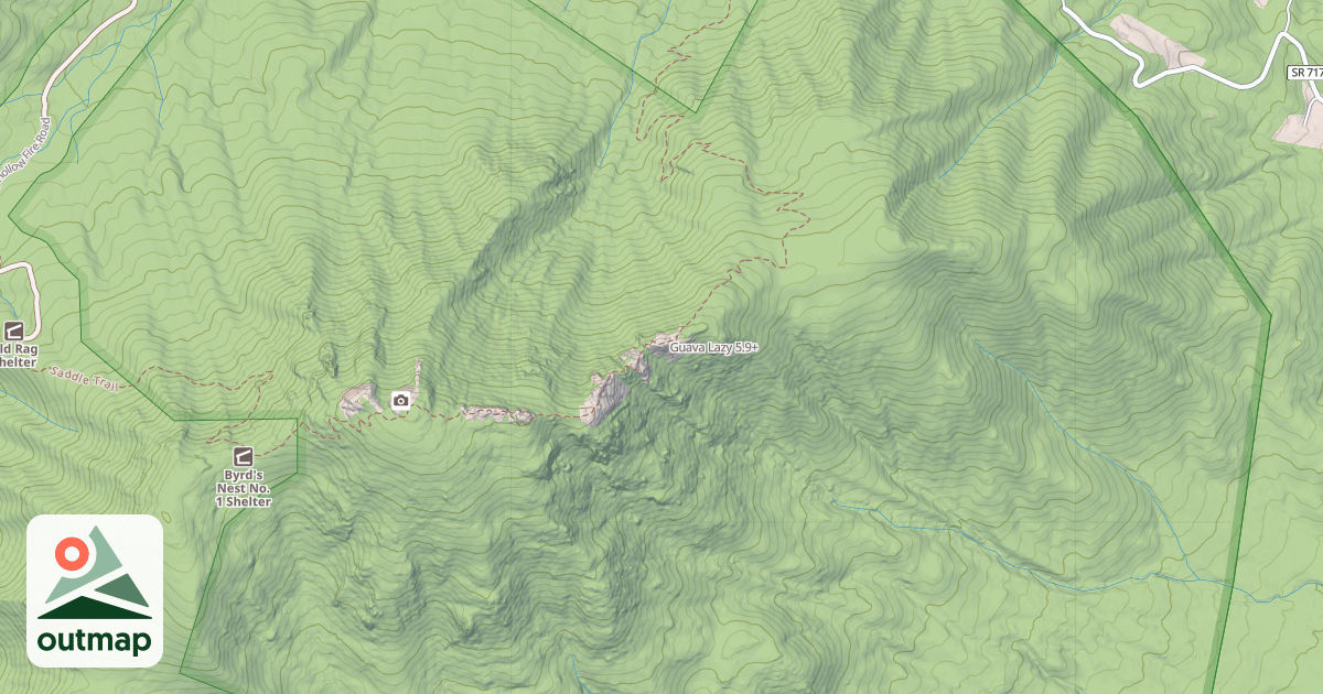 Map of Guava Lazy