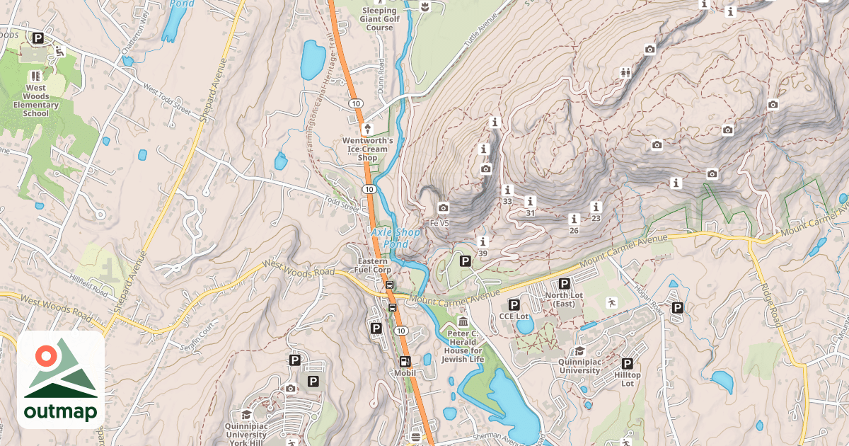 Map of Fe