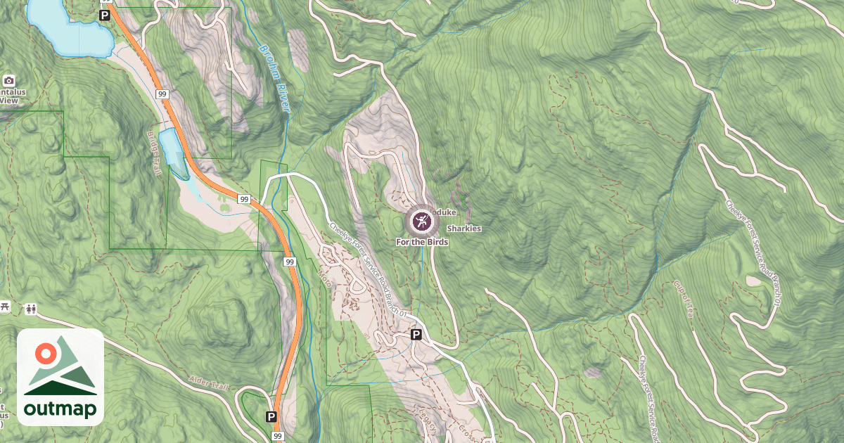 Map of For the Birds