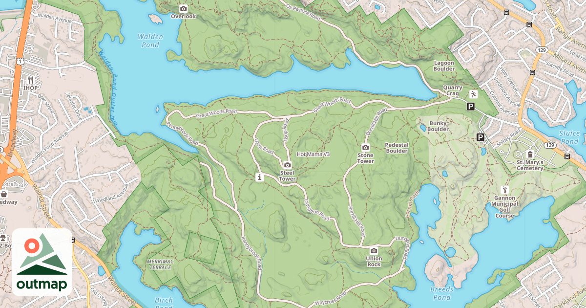 Map of Hot Mama