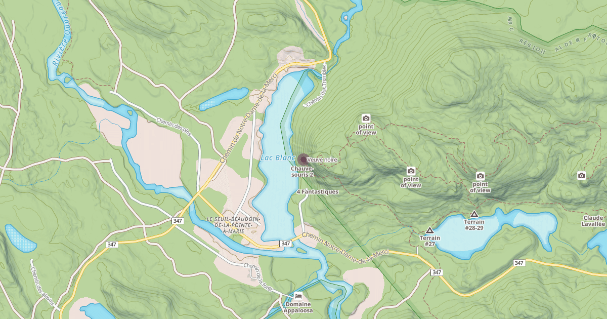 Map preview of Veuve noire