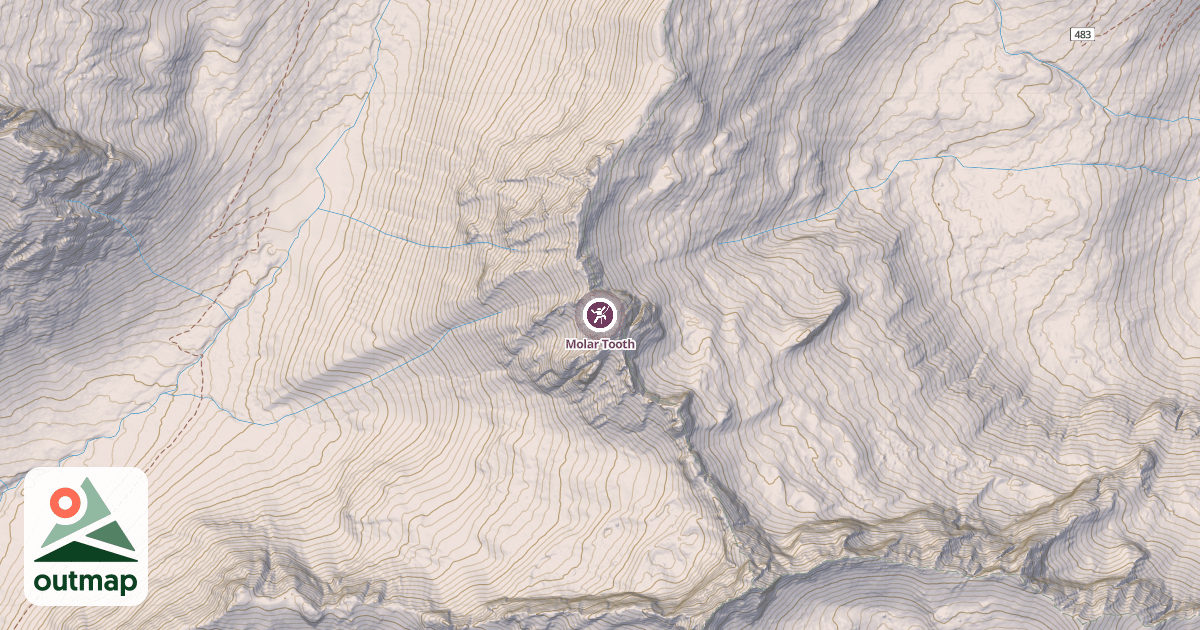 Map of Molar Tooth