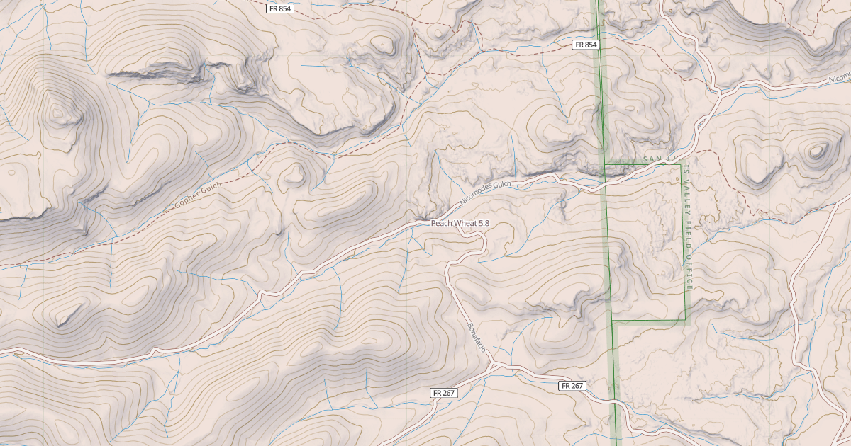 Map preview of Peach Wheat